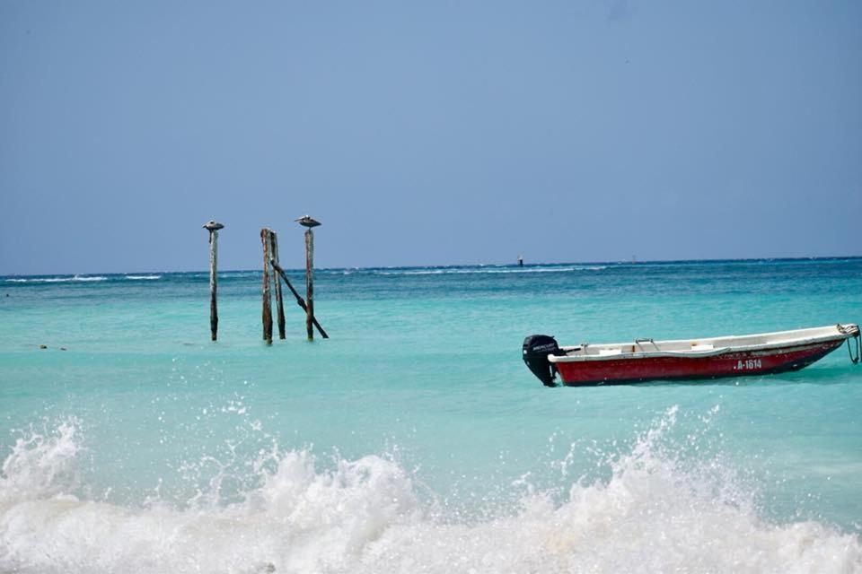 Palmhouse Apartments Aruba 1- 4 Persons Savaneta Exterior photo