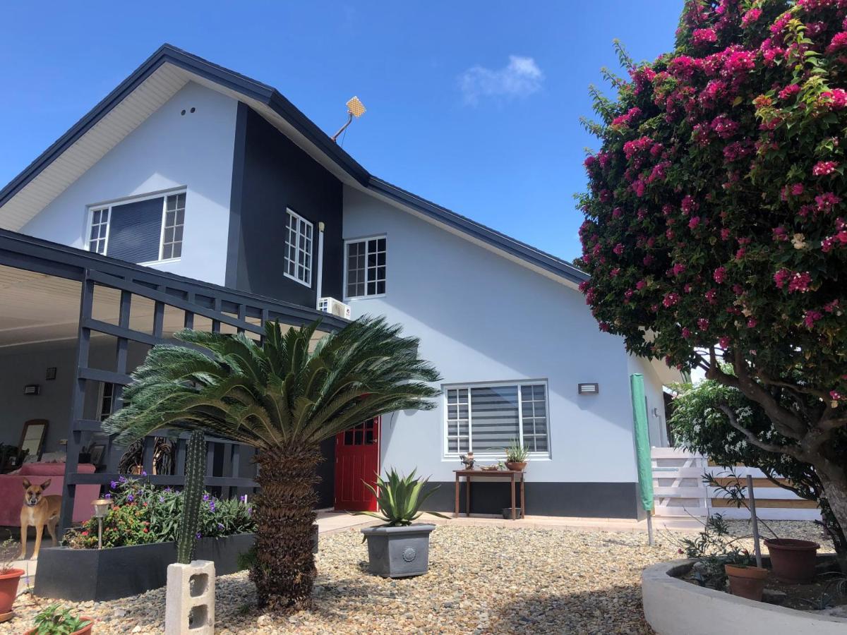 Palmhouse Apartments Aruba 1- 4 Persons Savaneta Exterior photo
