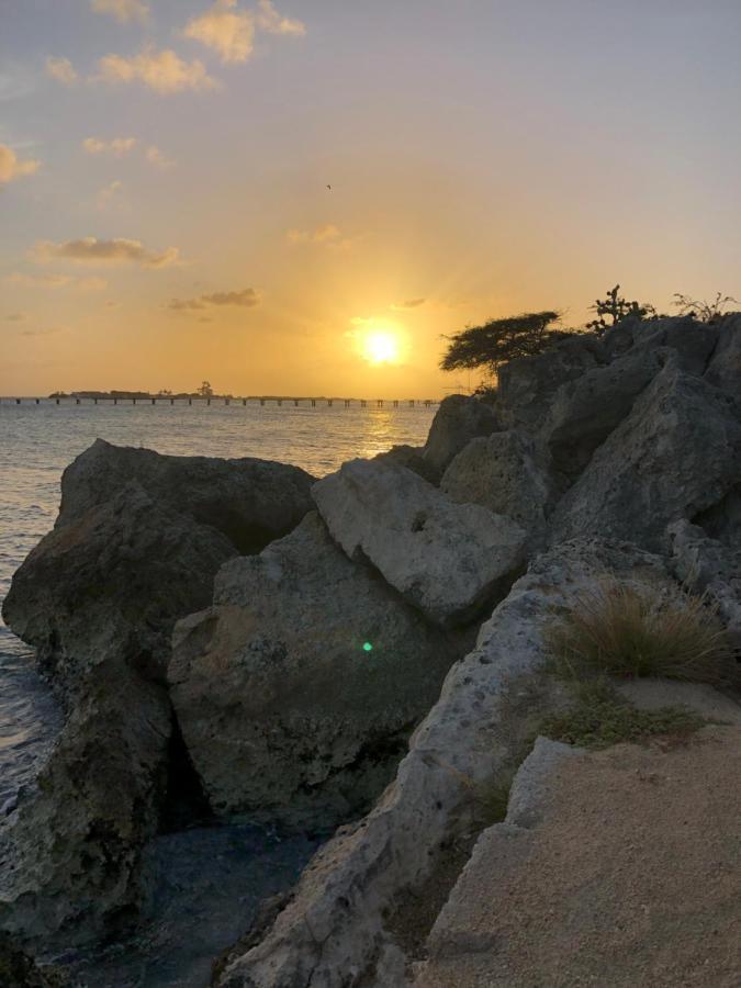 Palmhouse Apartments Aruba 1- 4 Persons Savaneta Exterior photo