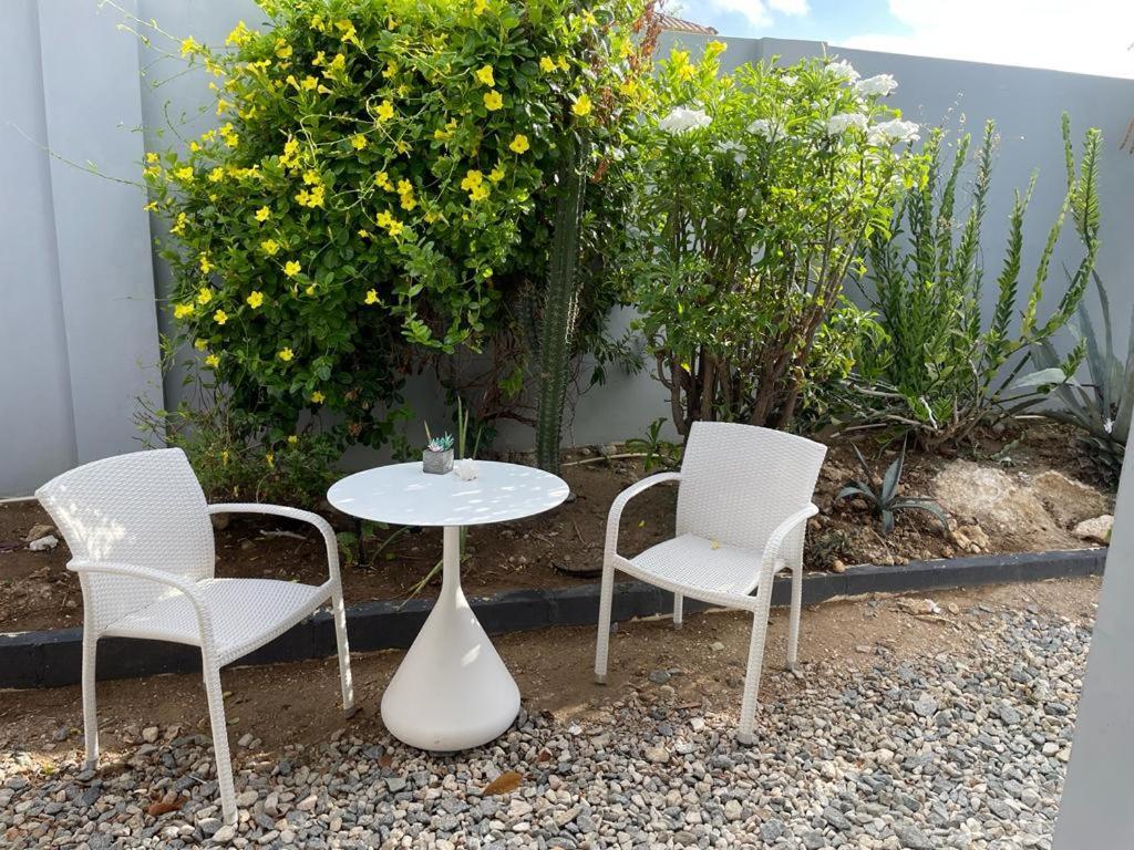 Palmhouse Apartments Aruba 1- 4 Persons Savaneta Exterior photo