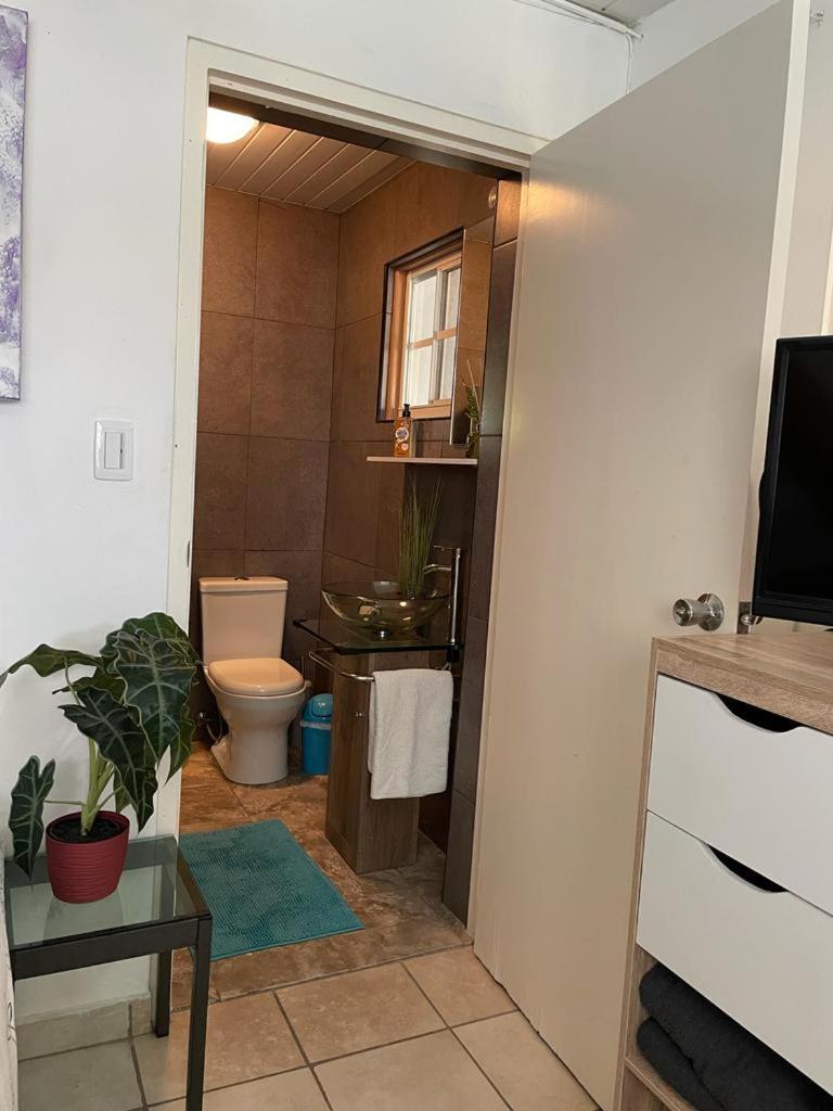Palmhouse Apartments Aruba 1- 4 Persons Savaneta Exterior photo
