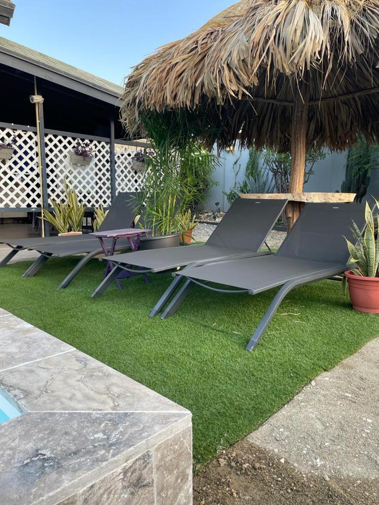 Palmhouse Apartments Aruba 1- 4 Persons Savaneta Exterior photo